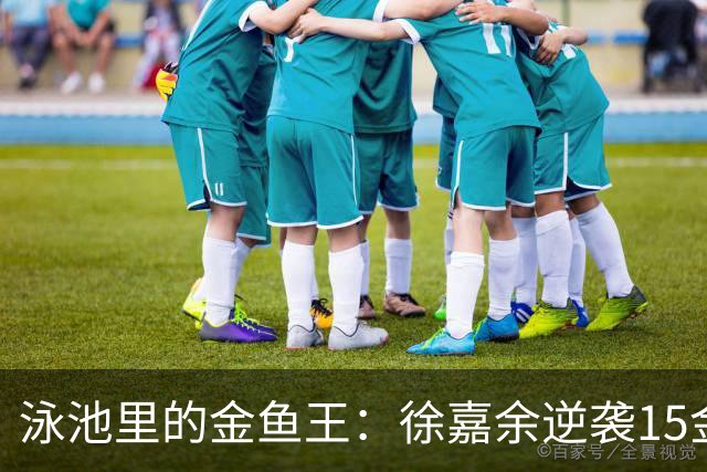 泳池里的金鱼王：徐嘉余逆袭15金成亚运传奇